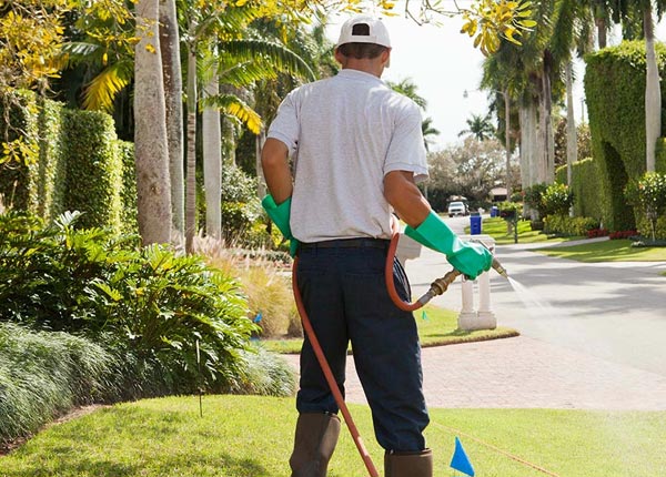 About Como CO Pest Control